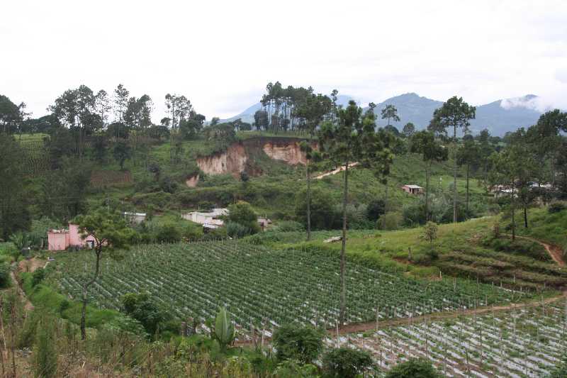 Mexico & Guatemala 2010 - 0702